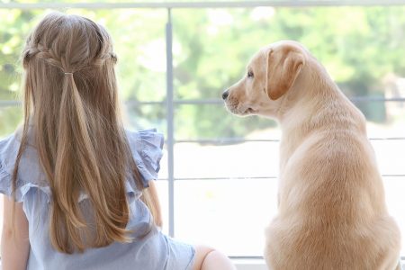 Come organizzare la casa per i nostri amici a 4 zampe