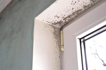 come risolvere problemi di muffa in casa
