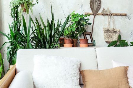 Idee e consigli per un arredamento eco-sostenibile