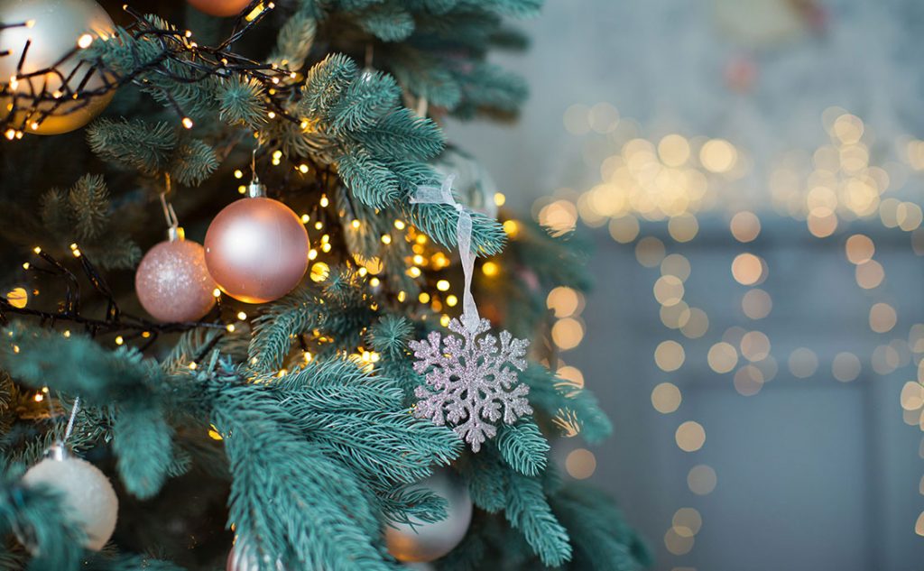 Albero Natale 2020 1024x633