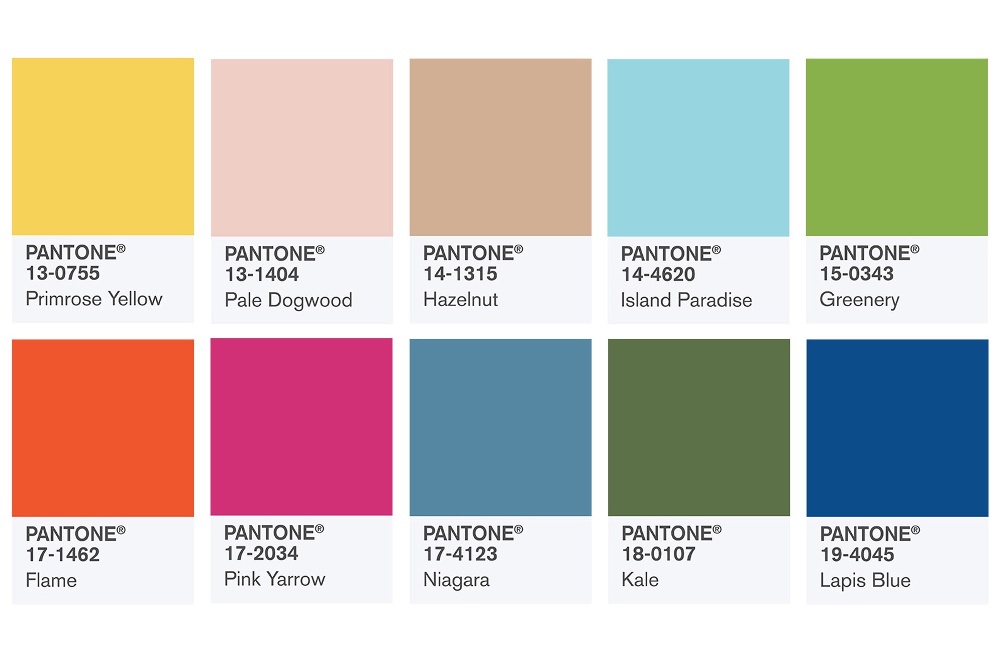 I colori pantone