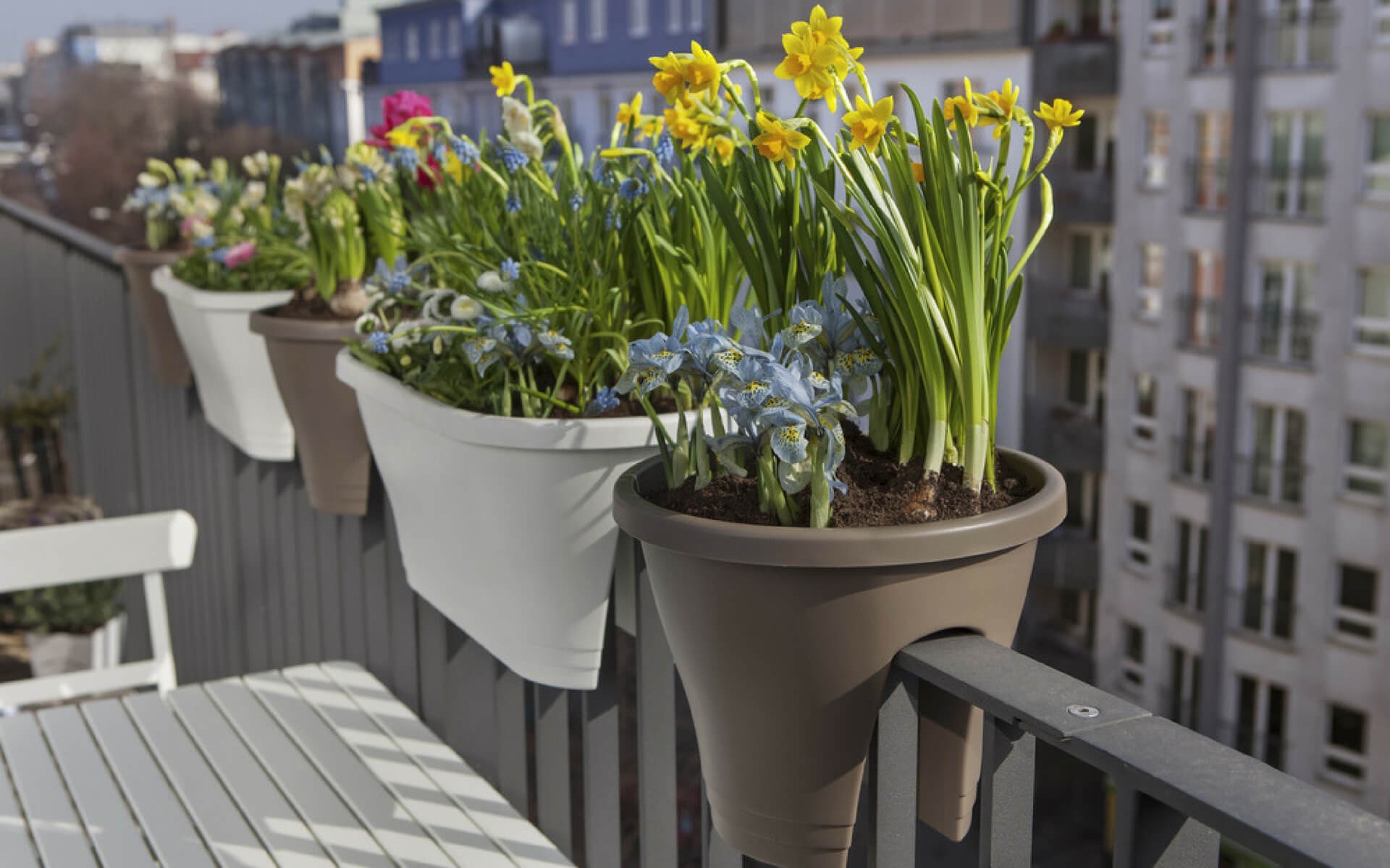 Le fioriere sono una soluzione ideale per arredare un balcone stretto e lungo creando la giusta privacy