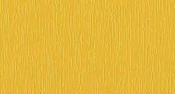 giallo_1018.jpg